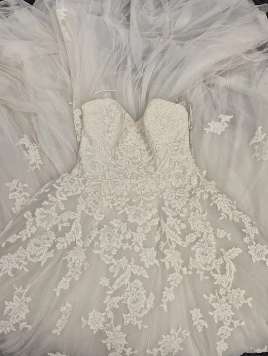 Pronovias Alcanar Lace & Tulle A-Line Wedding Dress - US 12 - Bustle Ready - Picture 11 of 16